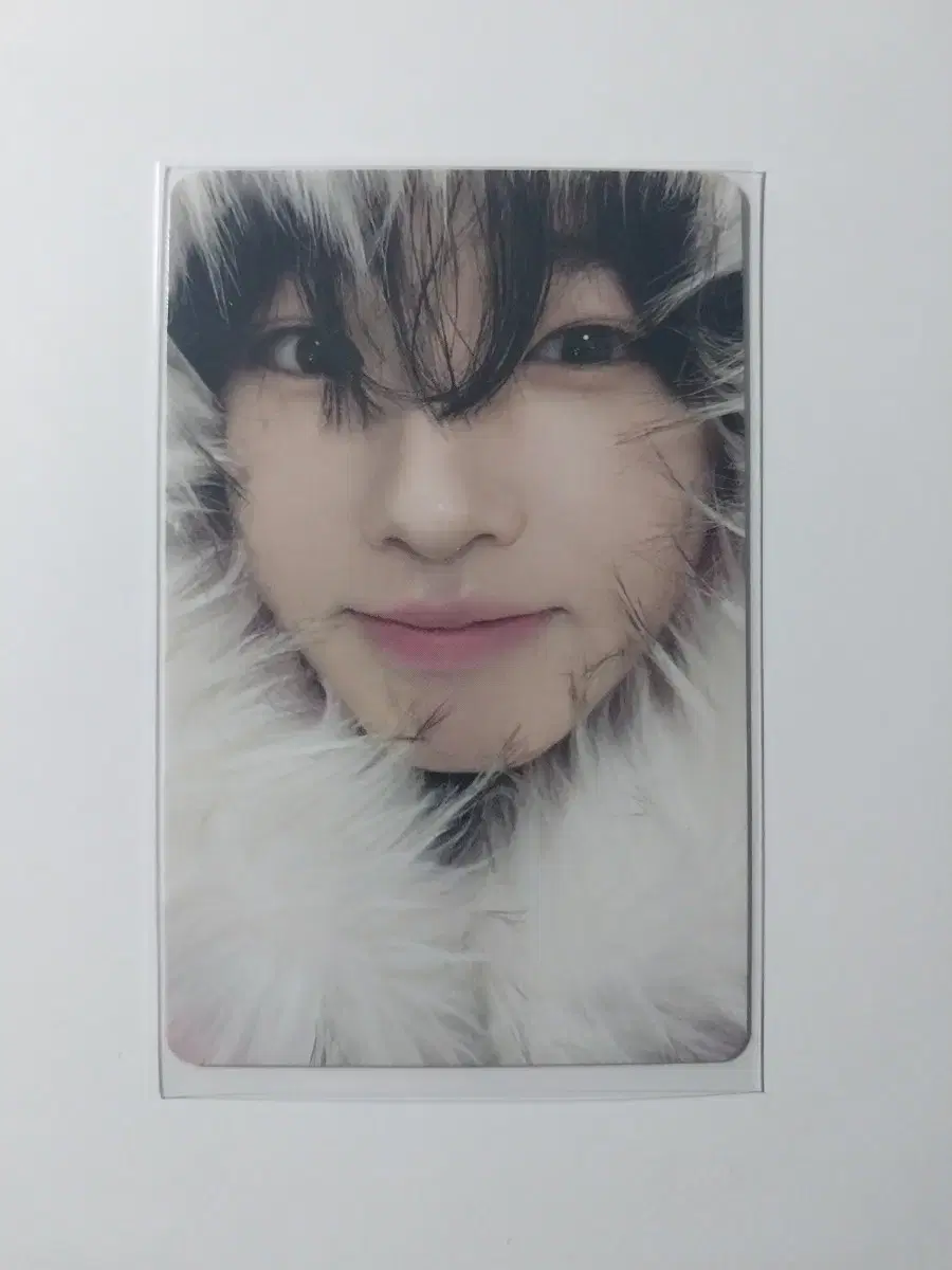 NCT wish サクヤ COLOR 初回限定 特典 トレカ miracle NCT WISH COLOR 初回特典 miracle サクヤ トレカ ミラクル